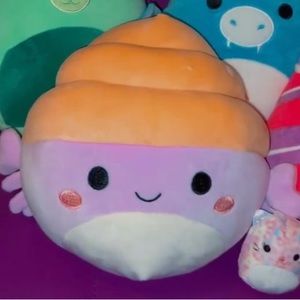 Arco the Hermit Crab 7.5” Squishmallow
